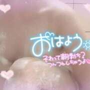 ヒメ日記 2025/09/14 08:22 投稿 アサミ ドMな奥さん 日本橋店