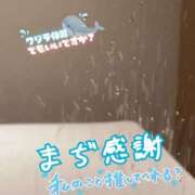 ヒメ日記 2025/10/28 23:38 投稿 アサミ ドMな奥さん 日本橋店