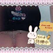 ヒメ日記 2025/11/05 10:50 投稿 アサミ ドMな奥さん 日本橋店