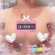 ヒメ日記 2025/11/15 14:45 投稿 アサミ ドMな奥さん 日本橋店