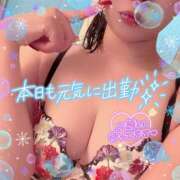 ヒメ日記 2025/11/16 08:30 投稿 アサミ ドMな奥さん 日本橋店