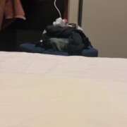 ヒメ日記 2025/12/12 10:42 投稿 アサミ ドMな奥さん 日本橋店