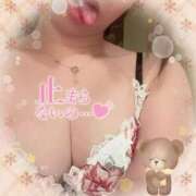 ヒメ日記 2025/12/28 16:29 投稿 アサミ ドMな奥さん 日本橋店