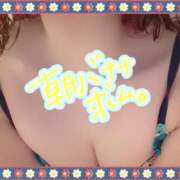 ヒメ日記 2026/01/30 08:30 投稿 アサミ ドMな奥さん 日本橋店