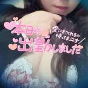 ヒメ日記 2026/02/09 08:45 投稿 アサミ ドMな奥さん 日本橋店