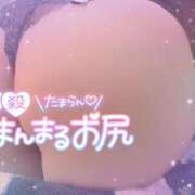 ヒメ日記 2026/02/12 08:15 投稿 アサミ ドMな奥さん 日本橋店