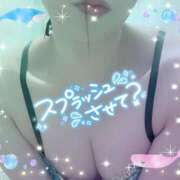 ヒメ日記 2026/02/17 13:59 投稿 アサミ ドMな奥さん 日本橋店