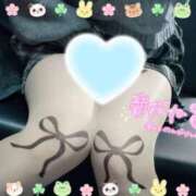 ヒメ日記 2026/04/05 10:41 投稿 アサミ ドMな奥さん 日本橋店