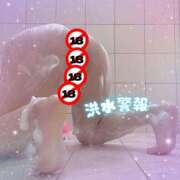 ヒメ日記 2026/04/06 11:28 投稿 アサミ ドMな奥さん 日本橋店