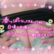 ヒメ日記 2026/04/09 08:15 投稿 アサミ ドMな奥さん 日本橋店