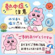 ヒメ日記 2026/08/27 10:00 投稿 アサミ ドMな奥さん 日本橋店