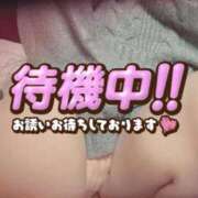 ヒメ日記 2026/10/20 13:19 投稿 アサミ ドMな奥さん 日本橋店