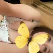 かんな ありがとうございます。 Ace(エース)