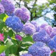 ヒメ日記 2025/06/24 20:10 投稿 こずえ 完熟ばなな 上野店