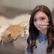 ヒメ日記 2025/11/19 11:33 投稿 Momose CELEB（セレブ）