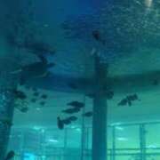 ヒメ日記 2026/03/13 10:43 投稿 竹内みほ パレット(熊本)