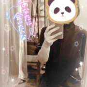 ヒメ日記 2026/03/15 12:03 投稿 竹内みほ パレット(熊本)