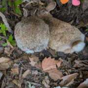 ヒメ日記 2026/03/17 11:53 投稿 竹内みほ パレット(熊本)