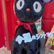 ヒメ日記 2026/03/17 12:00 投稿 竹内みほ パレット(熊本)