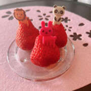 ヒメ日記 2025/03/24 13:45 投稿 水輝 琥珀（こはく）