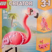 水輝 今日のこんにちは💕😚 琥珀（こはく）