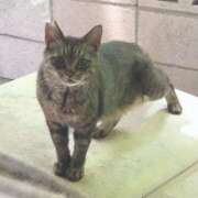 ヒメ日記 2025/08/17 00:24 投稿 うた 西川口前立腺研究所