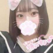 ヒメ日記 2025/02/25 21:51 投稿 まりん LEVEL1