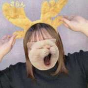 ヒメ日記 2024/12/16 04:04 投稿 さらん 一宮稲沢小牧ちゃんこ