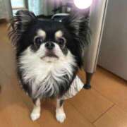 ヒメ日記 2025/01/03 21:34 投稿 さらん 一宮稲沢小牧ちゃんこ