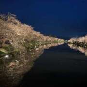 ヒメ日記 2025/04/22 21:55 投稿 Ibuki CELEB（セレブ）