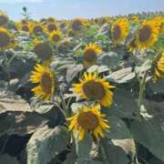 ヒメ日記 2025/10/15 16:39 投稿 雨宮リカ ウルトラハピネス