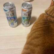 ヒメ日記 2025/02/11 19:22 投稿 わかな 熟女の風俗最終章 池袋店