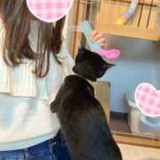 まみ &#x1F408;&#x200D;&#x2B1B; 新潟風俗 Cherish Amulet