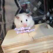 ヒメ日記 2025/01/03 13:12 投稿 るる 素人人妻オフィス東金店