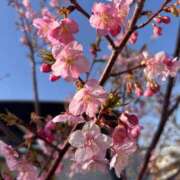 ヒメ日記 2025/03/11 22:27 投稿 るる 素人人妻オフィス東金店