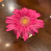 ヒメ日記 2025/08/18 20:07 投稿 るる 素人人妻オフィス東金店