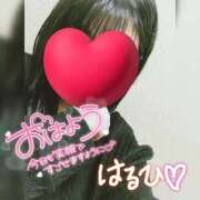 ヒメ日記 2025/02/04 09:34 投稿 はるひ ギン妻パラダイス 堺東店