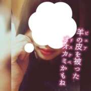 ヒメ日記 2025/02/08 13:59 投稿 はるひ ギン妻パラダイス 堺東店