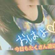 ヒメ日記 2025/02/13 09:43 投稿 はるひ ギン妻パラダイス 堺東店