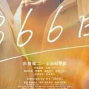 ヒメ日記 2025/02/13 15:24 投稿 はるひ ギン妻パラダイス 堺東店