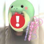 ヒメ日記 2025/02/14 14:12 投稿 はるひ ギン妻パラダイス 堺東店