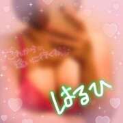 ヒメ日記 2025/02/26 09:42 投稿 はるひ ギン妻パラダイス 堺東店