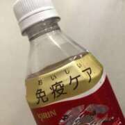 ヒメ日記 2025/02/28 03:35 投稿 はるひ ギン妻パラダイス 堺東店