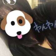 ヒメ日記 2025/03/20 15:22 投稿 はるひ ギン妻パラダイス 堺東店