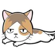 ヒメ日記 2025/04/29 10:25 投稿 はるひ ギン妻パラダイス 堺東店