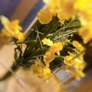 ヒメ日記 2025/05/18 03:17 投稿 はるひ ギン妻パラダイス 堺東店