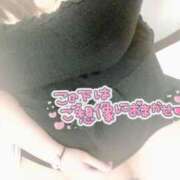 ヒメ日記 2025/05/25 03:15 投稿 はるひ ギン妻パラダイス 堺東店