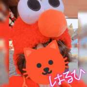 ヒメ日記 2025/07/05 21:08 投稿 はるひ ギン妻パラダイス 堺東店