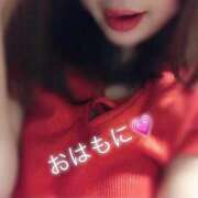 ヒメ日記 2025/07/20 09:29 投稿 はるひ ギン妻パラダイス 堺東店