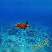 ヒメ日記 2025/07/21 16:29 投稿 はるひ ギン妻パラダイス 堺東店